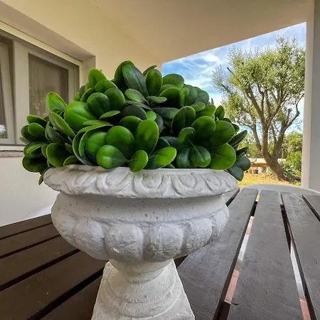 Casa Marinella Lägenhet Porto Rotondo
